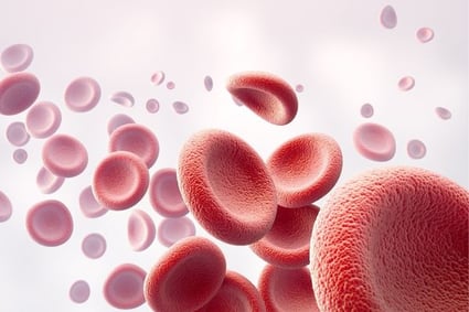 blood cells - about blood cancers and disorder from compass oncology hematologists
