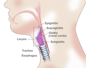 laryngeal_cancer